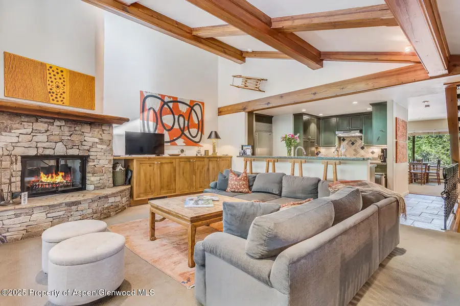 851 Ute Avenue #B, Aspen, CO 81611 - Image #3