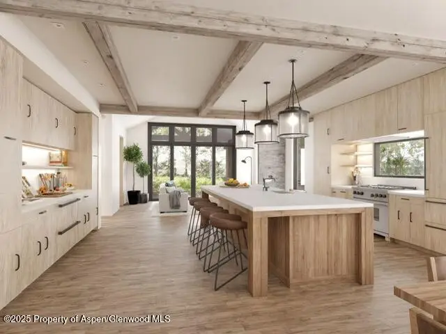 382 Golden Bear Drive, Carbondale, CO 81623 - Image #3