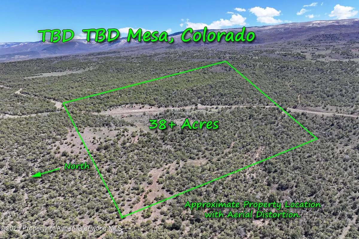 TBD Tbd, Mesa, CO 81643 - Image #1