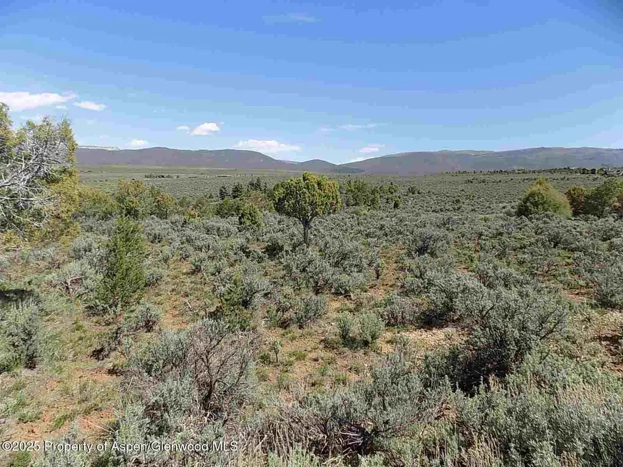 0030 Little Wood Lane, Glenwood Springs, CO 81601 - #3