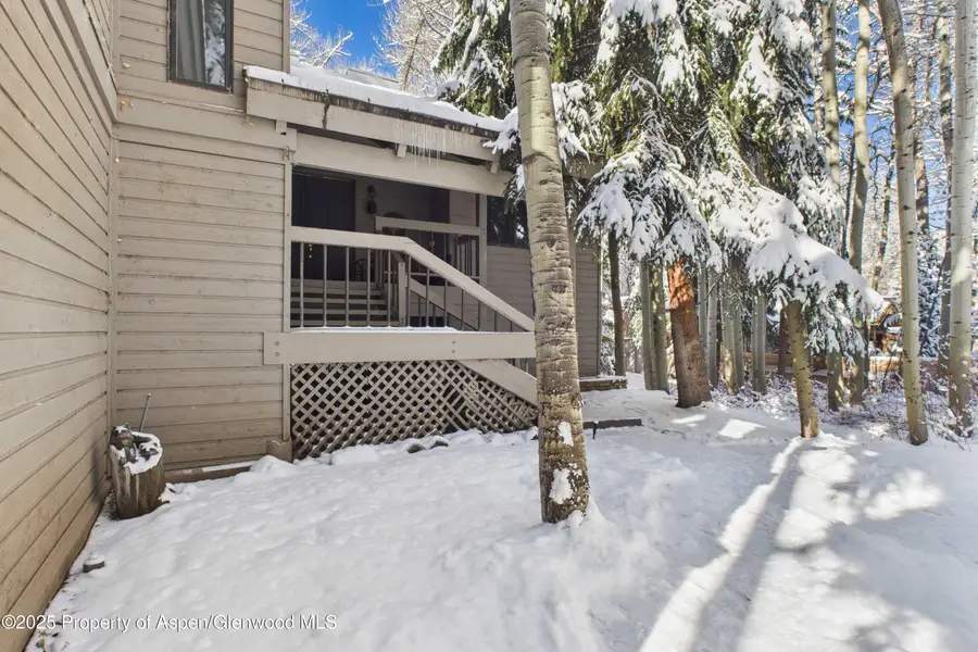 645 Sneaky Lane, Aspen, CO 81611 - Image #3
