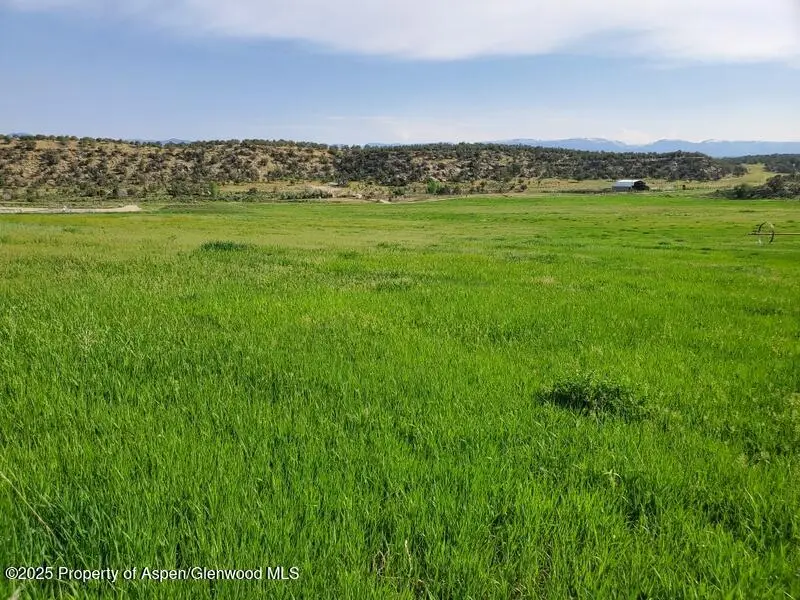 6526 County Road 331, Silt, CO 81652 - #2