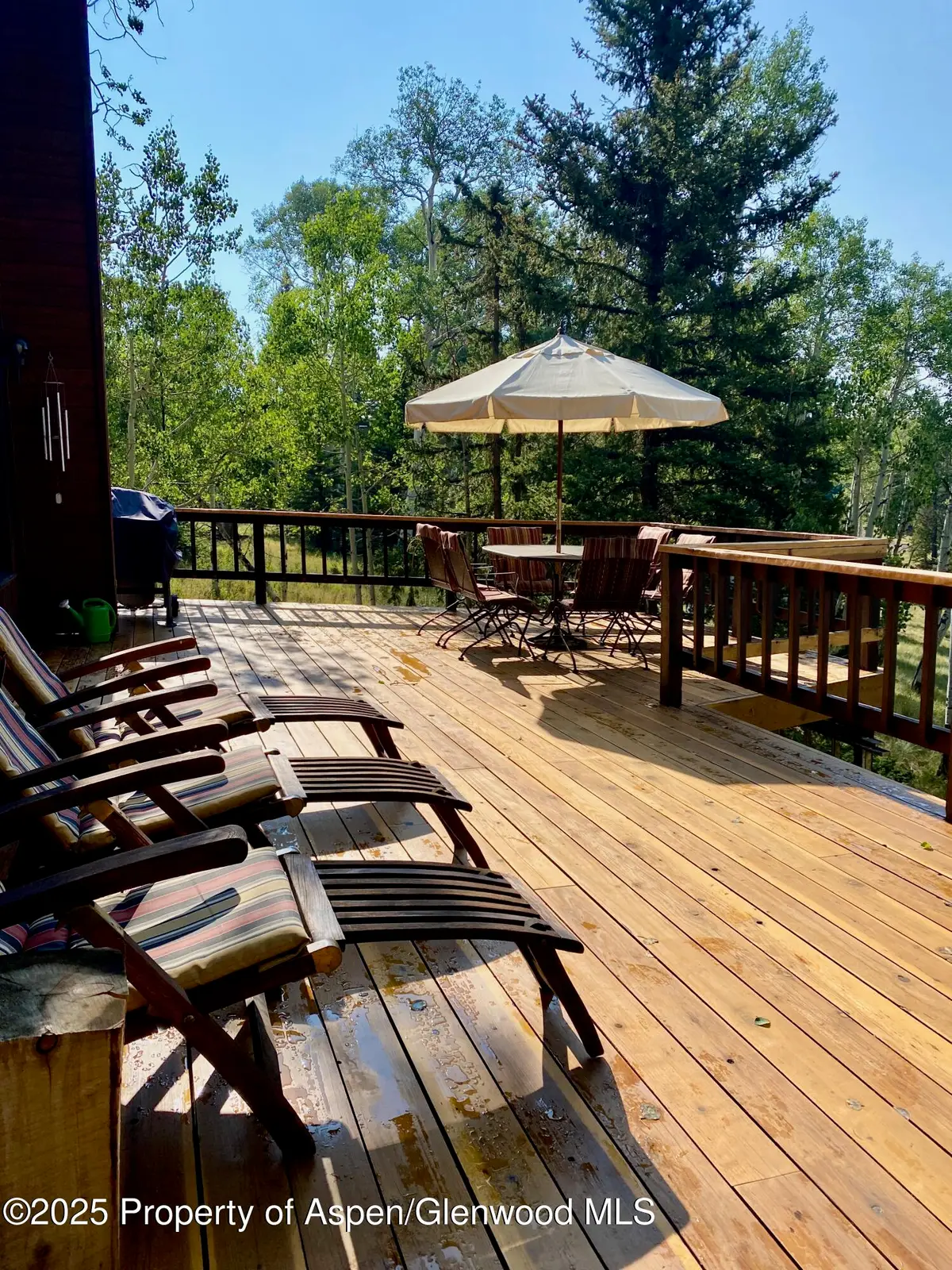 771 Spruce Road, Cimarron, CO 81220 - Image #1