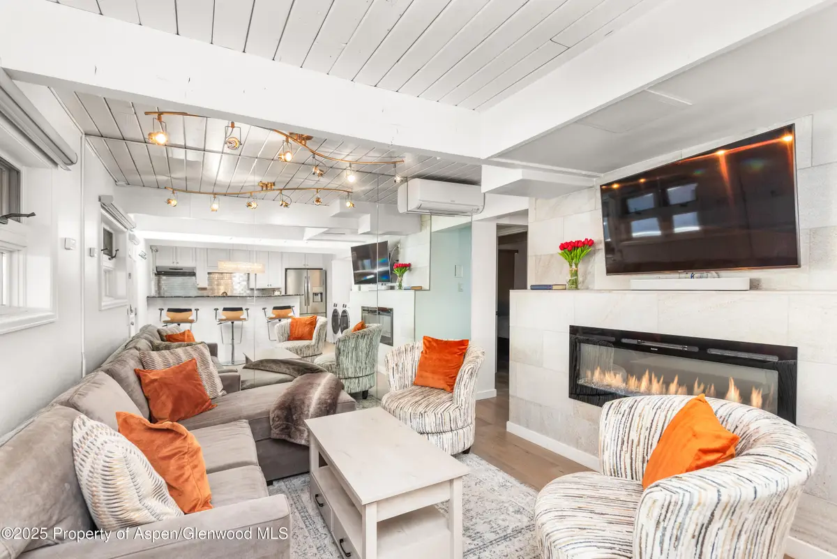 630 E Cooper Avenue #4, Aspen, CO 81611 - Image #1