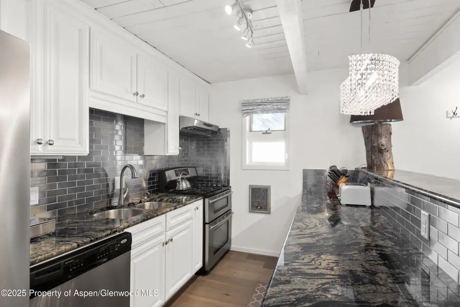 630 E Cooper Avenue #4, Aspen, CO 81611 - Image #3