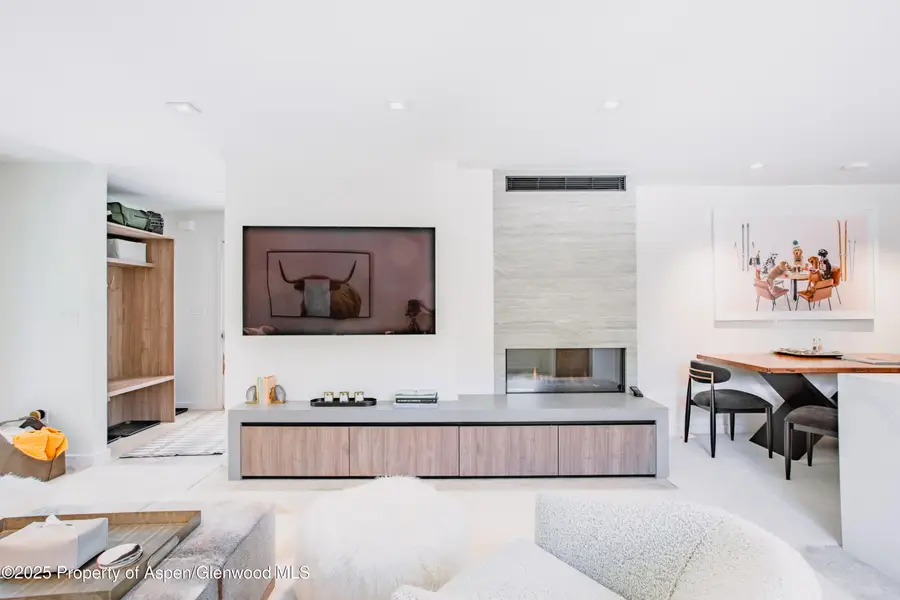 210 E Cooper Avenue #3G, Aspen, CO 81611 - Image #3