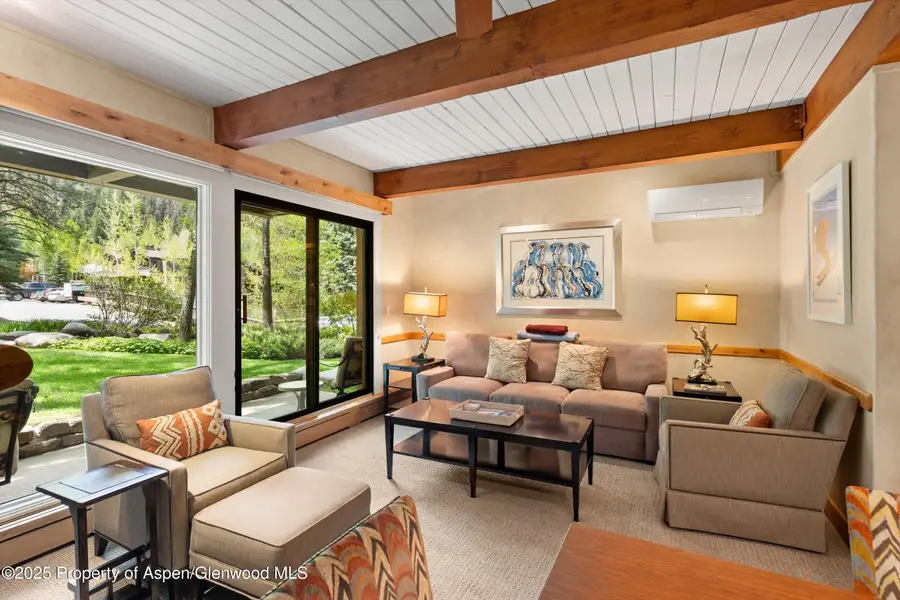 610 S West End Street #D105, Aspen, CO 81611 - Image #2