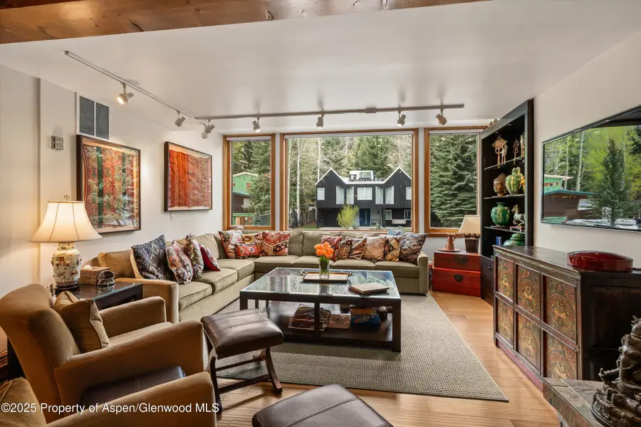 926 Waters Avenue #203, Aspen, CO 81611 - Image #3