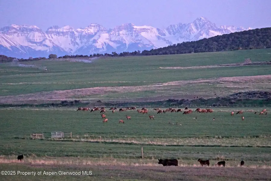 10676 Bostwick Road, Montrose, CO 81401 - Image #3