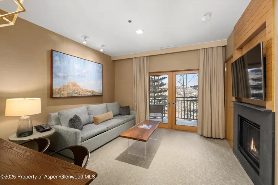130 Wood Road 314/316, Snowmass Village, CO 81615 - Image #3
