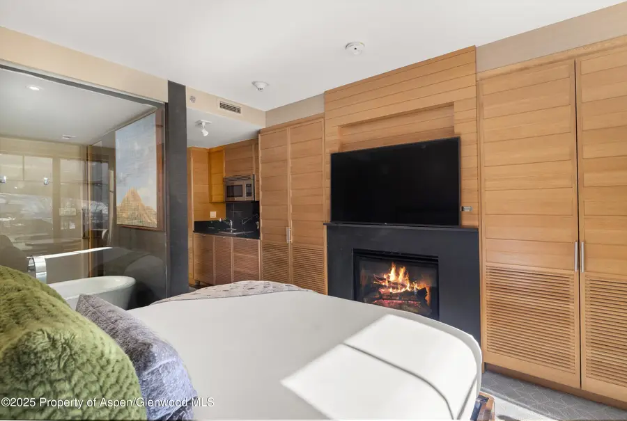 130 Wood Road #536, Snowmass Village, CO 81615 - Image #3