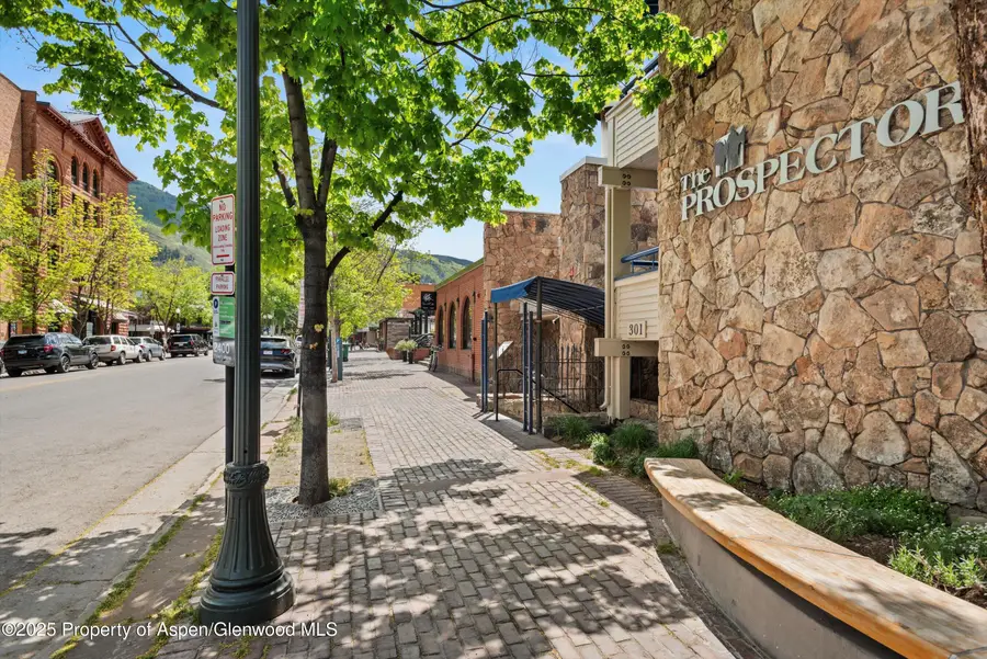 301 E Hyman Avenue #207, Weeks 35,36,48, Aspen, CO 81611 - Image #3