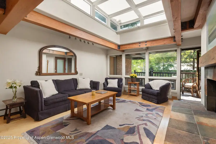 124 W Hyman Avenue #3B, Aspen, CO 81611 - Image #3