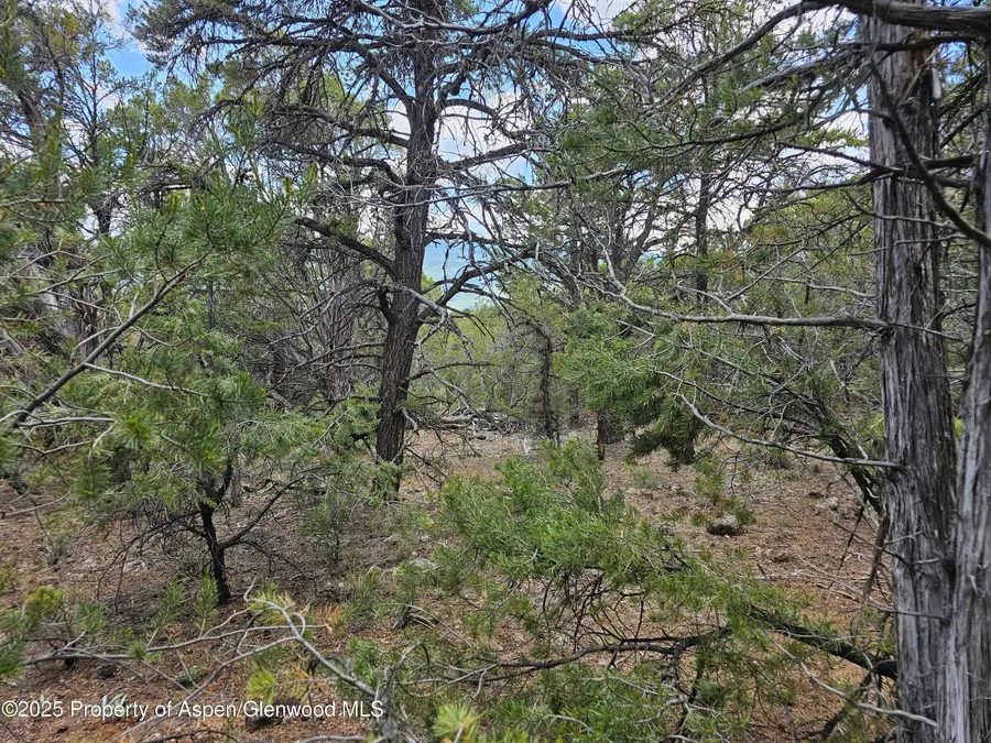 3221 Elk Springs Drive, Glenwood Springs, CO 81601 - Image #2