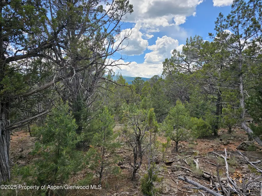 3221 Elk Springs Drive, Glenwood Springs, CO 81601 - Image #3