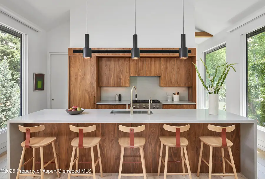 612 W Francis Street, Aspen, CO 81611 - Image #3