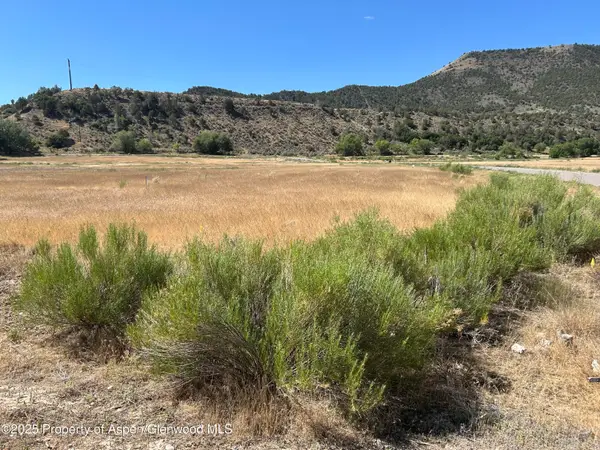 Lot 21 Rapids View Lane, New Castle, CO 81647