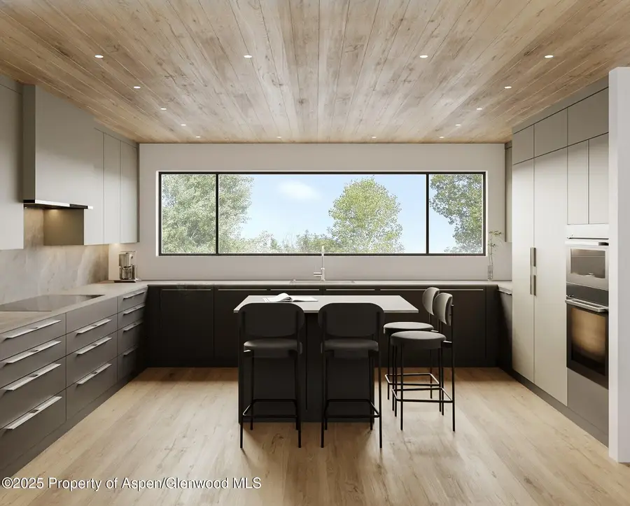 323 E Reds Road, Aspen, CO 81611 - Image #2