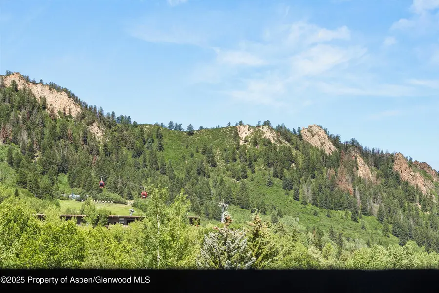 610 S West End Street #H202, Aspen, CO 81611 - Image #3