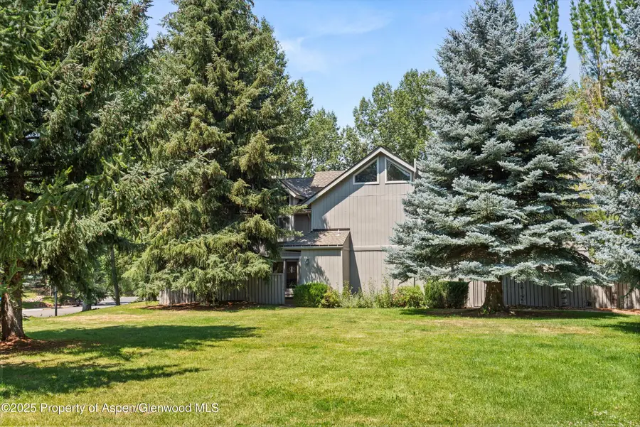 152 Wren Court, Basalt, CO 81621 - Image #3