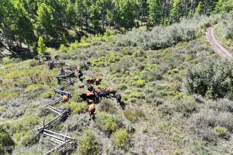 TBD Divide Road #Entire Package, Whitewater, CO 81527 - Image #2