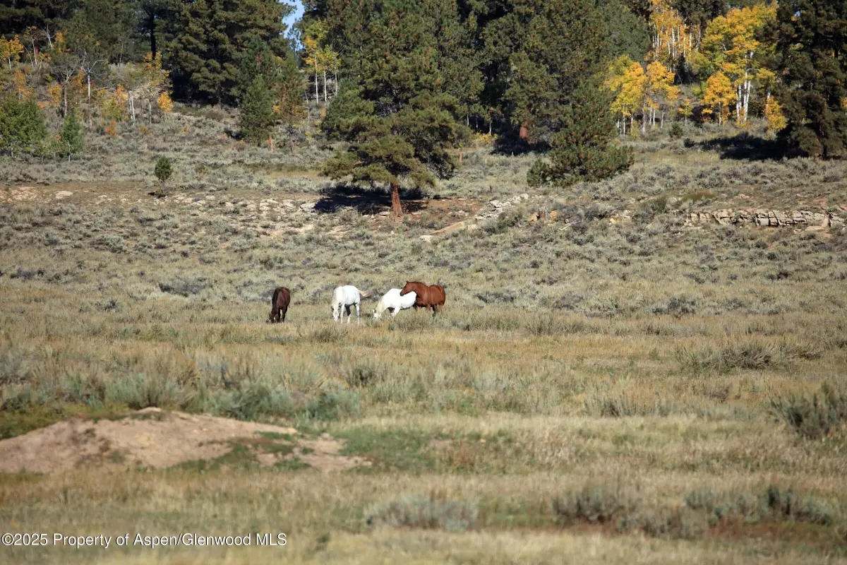 TBD Divide Road #Louie Pasture, Whitewater, CO 81527 - Image #1