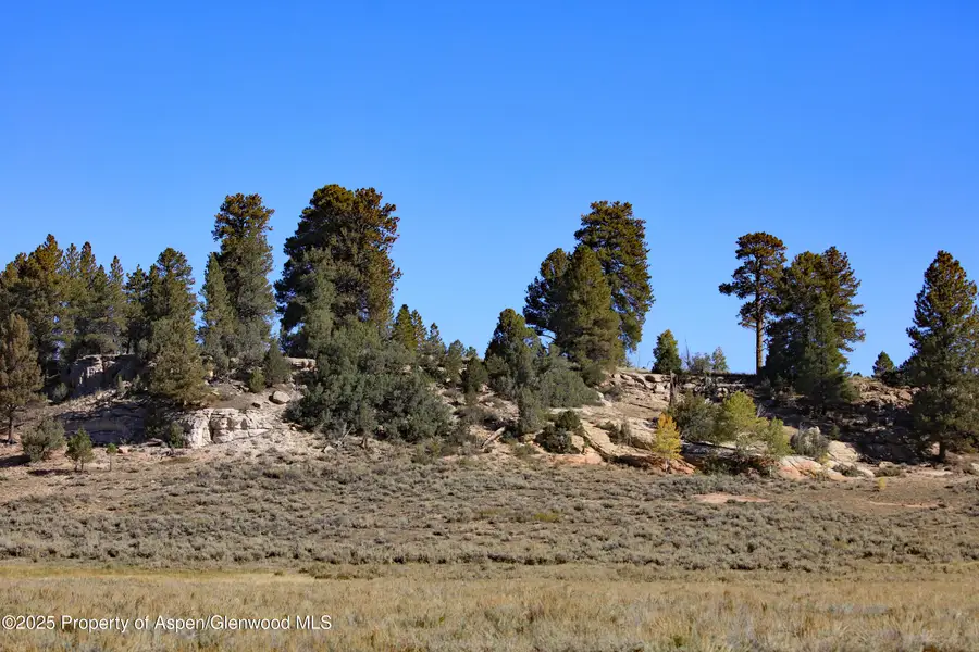 TBD Divide Road #Louie Pasture, Whitewater, CO 81527 - Image #2