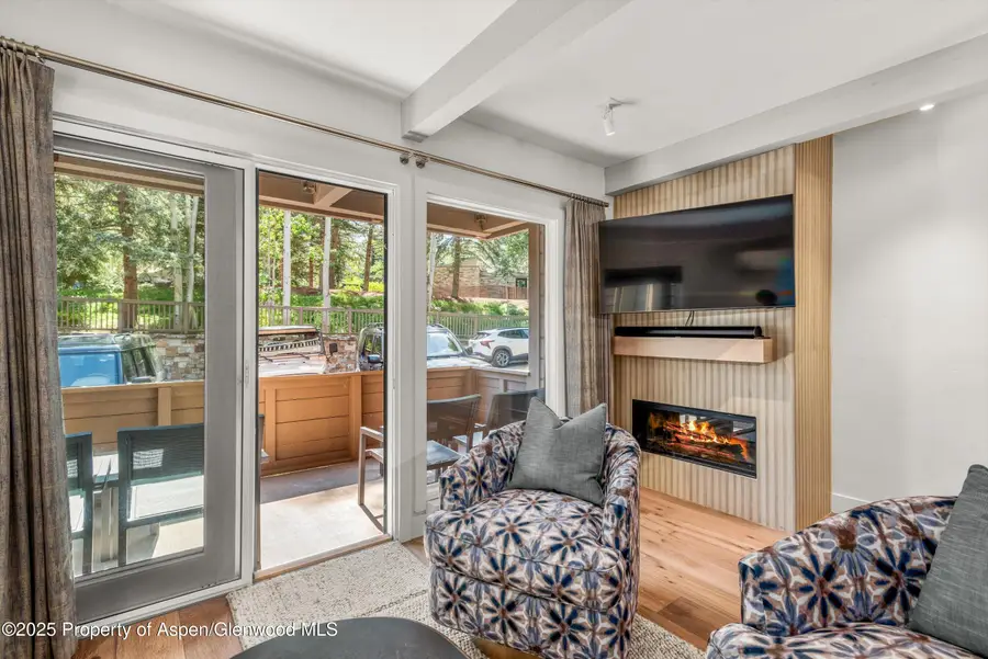 610 S West End Street #Unit K103, Aspen, CO 81611 - Image #2