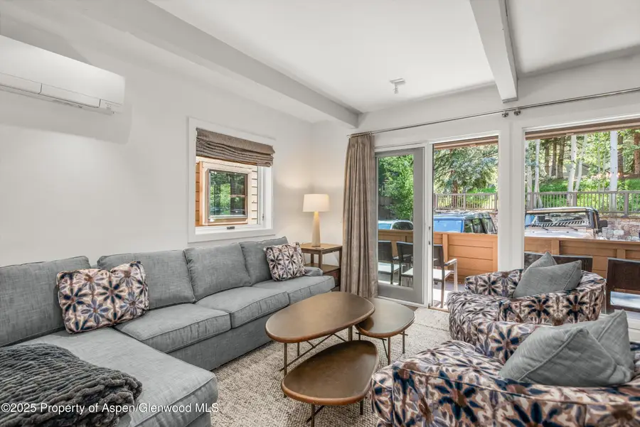 610 S West End Street #Unit K103, Aspen, CO 81611 - Image #3