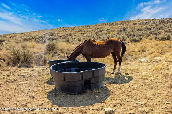 TBD County Road 64, Craig, CO 81625