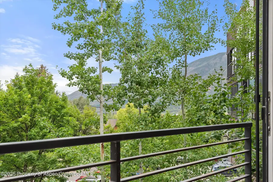 738 S Galena Street #1-C, Aspen, CO 81611 - Image #3