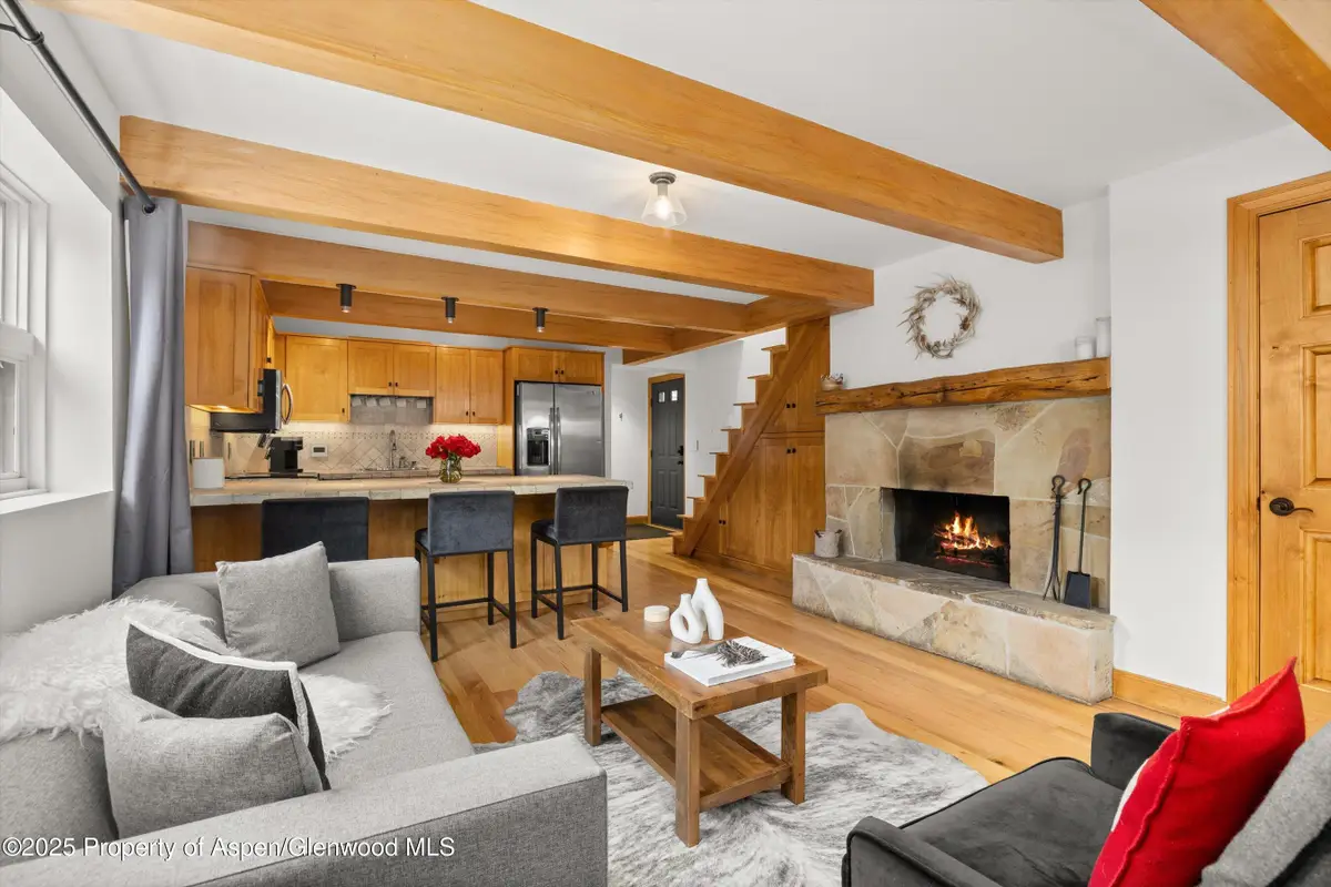 914 Waters Avenue #20, Aspen, CO 81611 - Image #1