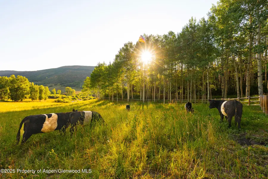 8500 & Tbd Snowmass Creek Road, Snowmass, CO 81654 - Image #2