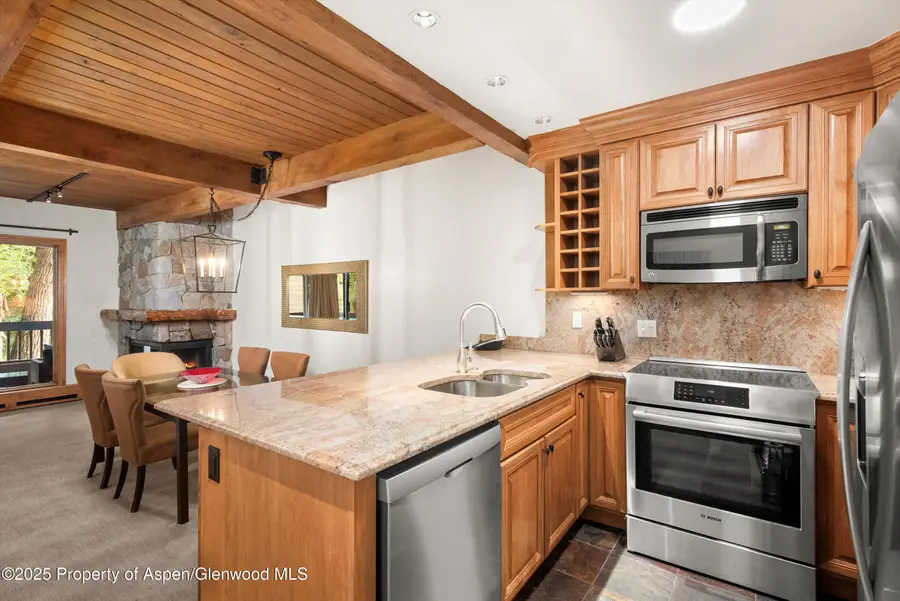 610 S West End Street #D206, Aspen, CO 81611 - Image #3