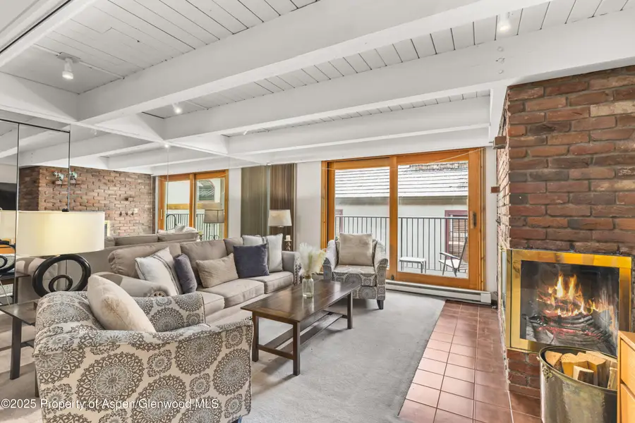 901 E Hyman Avenue #14, Aspen, CO 81611 - Image #3