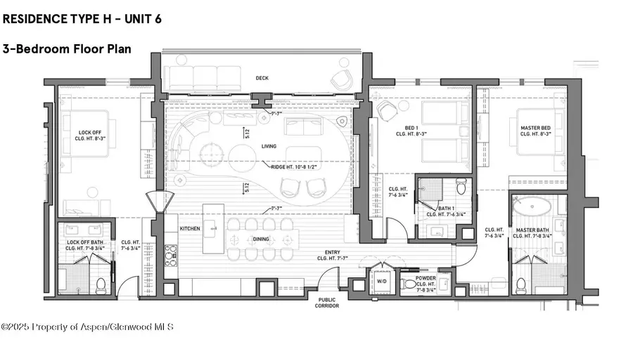 550 S Spring Street, Aspen, CO 81611 - Image #2