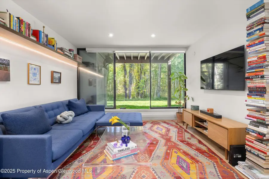 416 Vine Street #416, Aspen, CO 81611 - Image #3