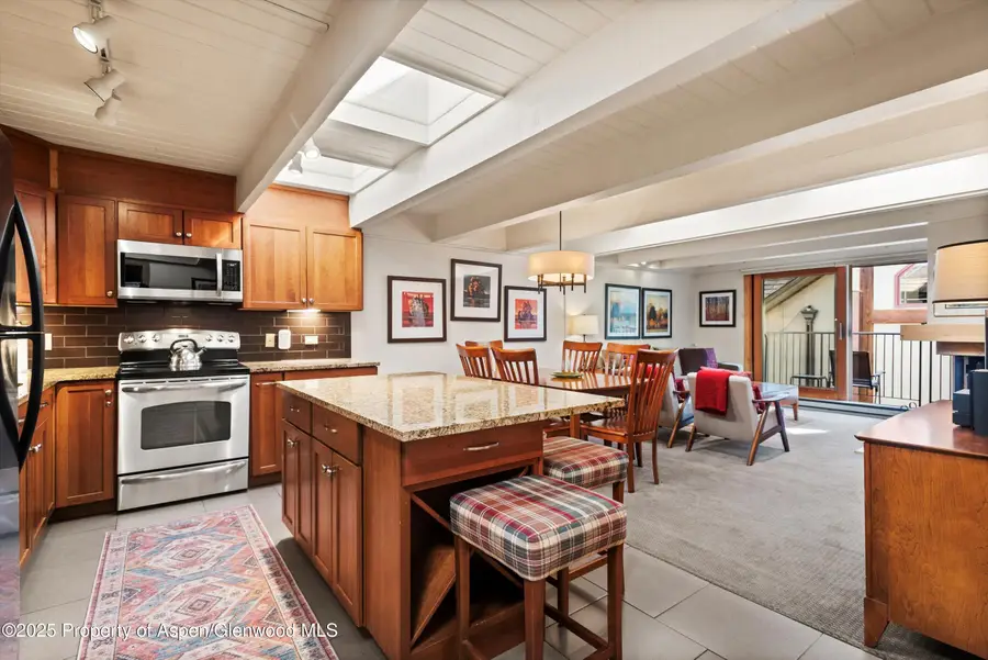 901 E Hyman Avenue #13, Aspen, CO 81611 - Image #2