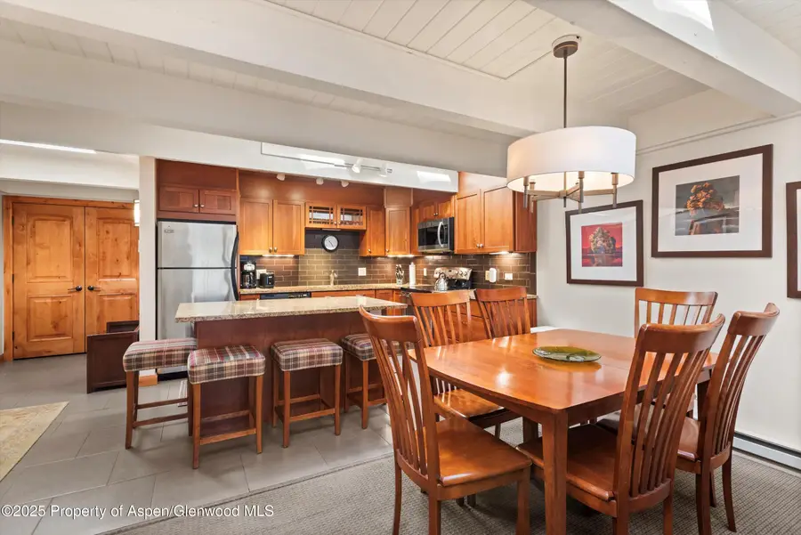 901 E Hyman Avenue #13, Aspen, CO 81611 - Image #3