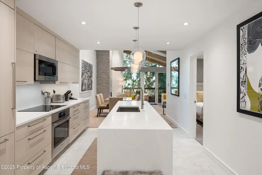 610 S West End Street #A304, Aspen, CO 81611 - Image #2