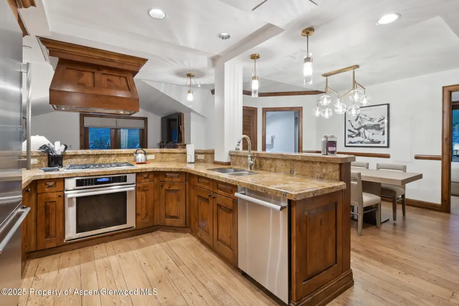 415 E Dean St, Unit 46, Week 34, Aspen, CO 81611 - Image #3