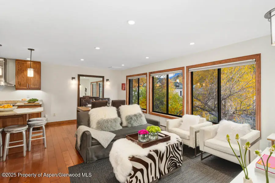 725 E Main Street #309, Aspen, CO 81611 - Image #1