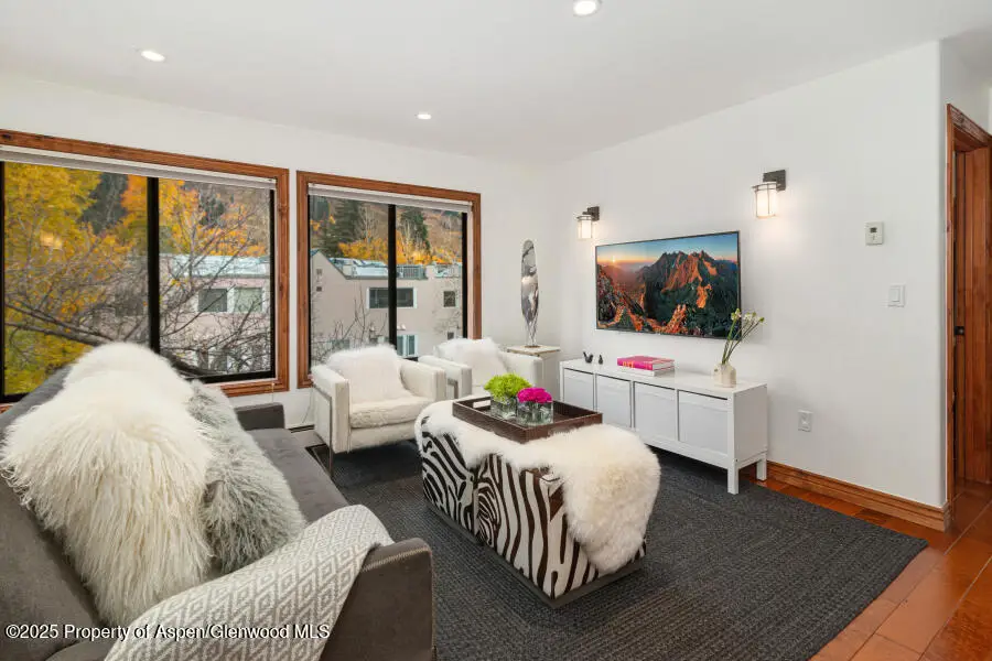 725 E Main Street #309, Aspen, CO 81611 - Image #3