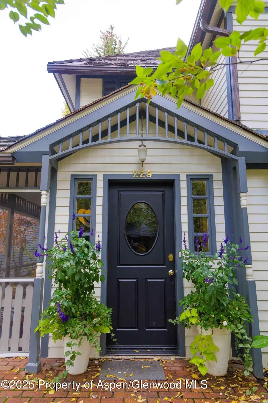 229 W Hallam Street, Aspen, CO 81611 - Image #2