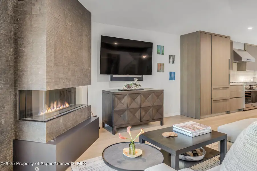 650 S Monarch Street #Unit 7, Aspen, CO 81611 - Image #2