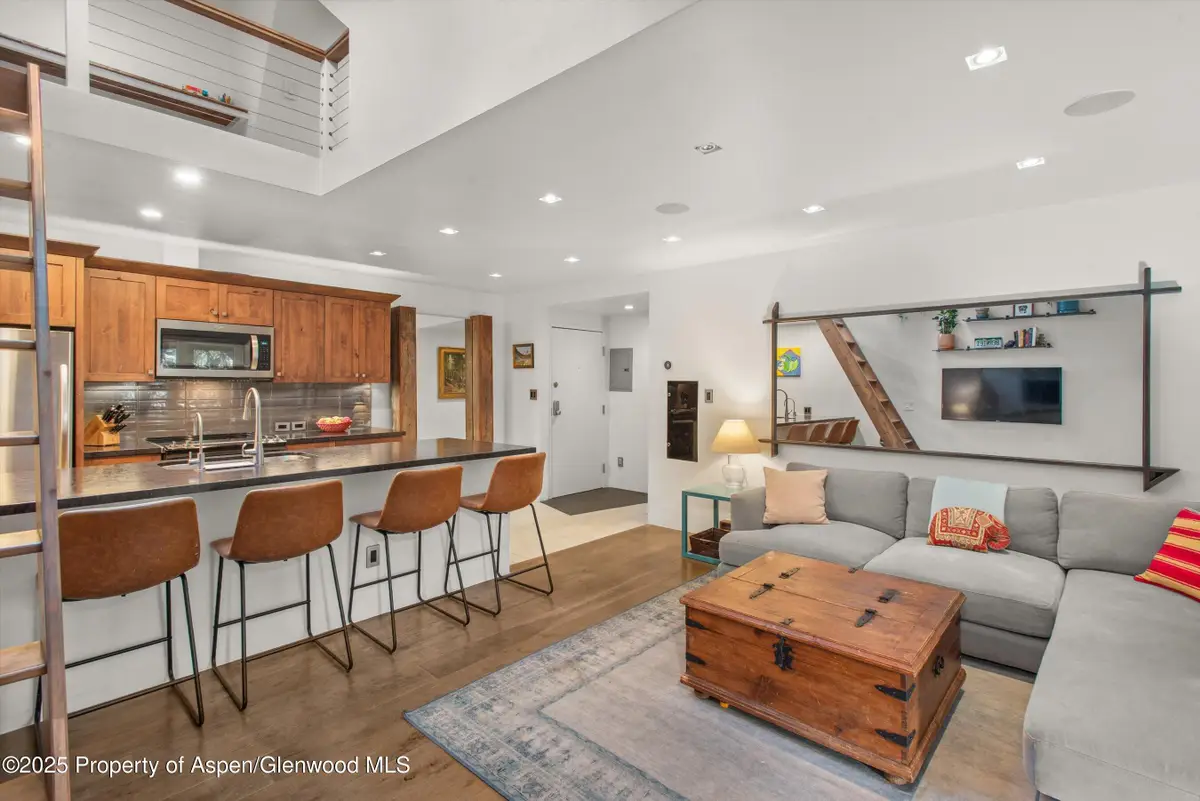 910 W Hallam Street #Unit 11, Aspen, CO 81611 - Image #1