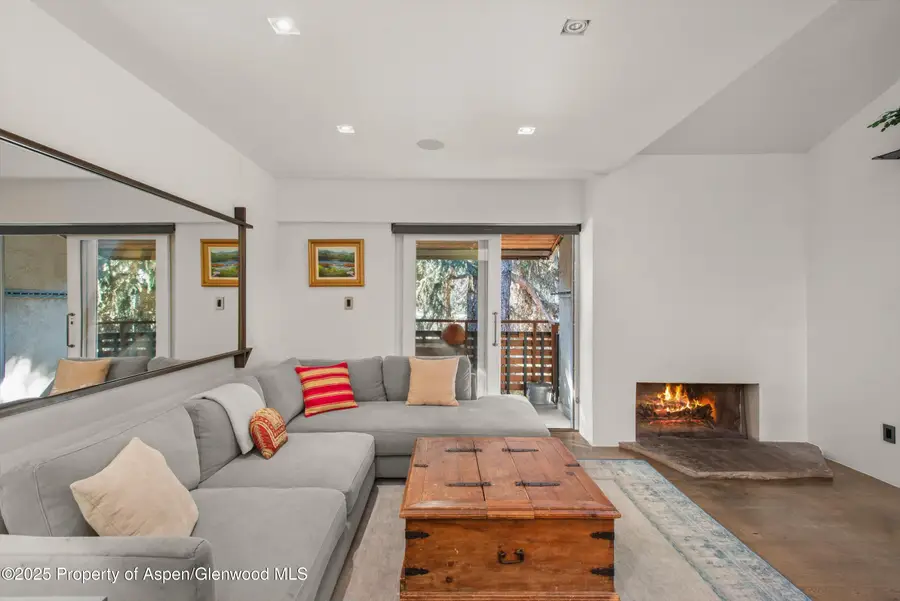 910 W Hallam Street #Unit 11, Aspen, CO 81611 - Image #2
