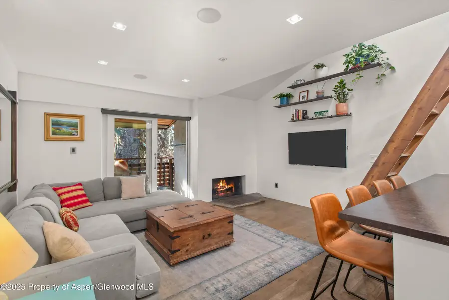 910 W Hallam Street #Unit 11, Aspen, CO 81611 - Image #3