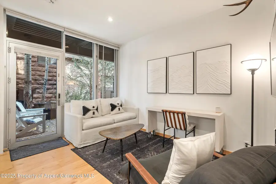 434 E Main Street #102, Aspen, CO 81611 - Image #2