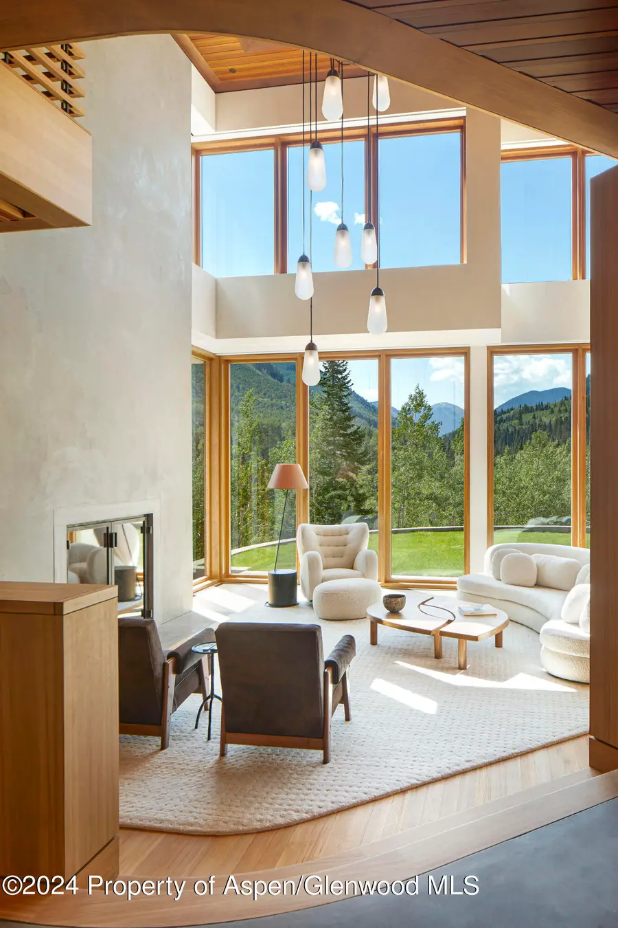 255 Conundrum Creek Road, Aspen, CO 81611 - Image #3